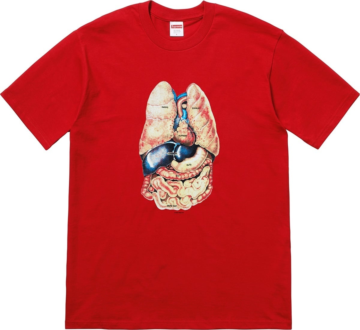 Guts Tee